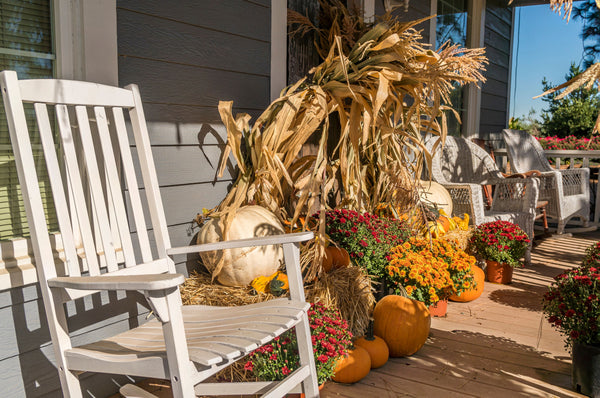 Best Fall Flowers to Plant for Autumn Landscaping - Fossil Blu