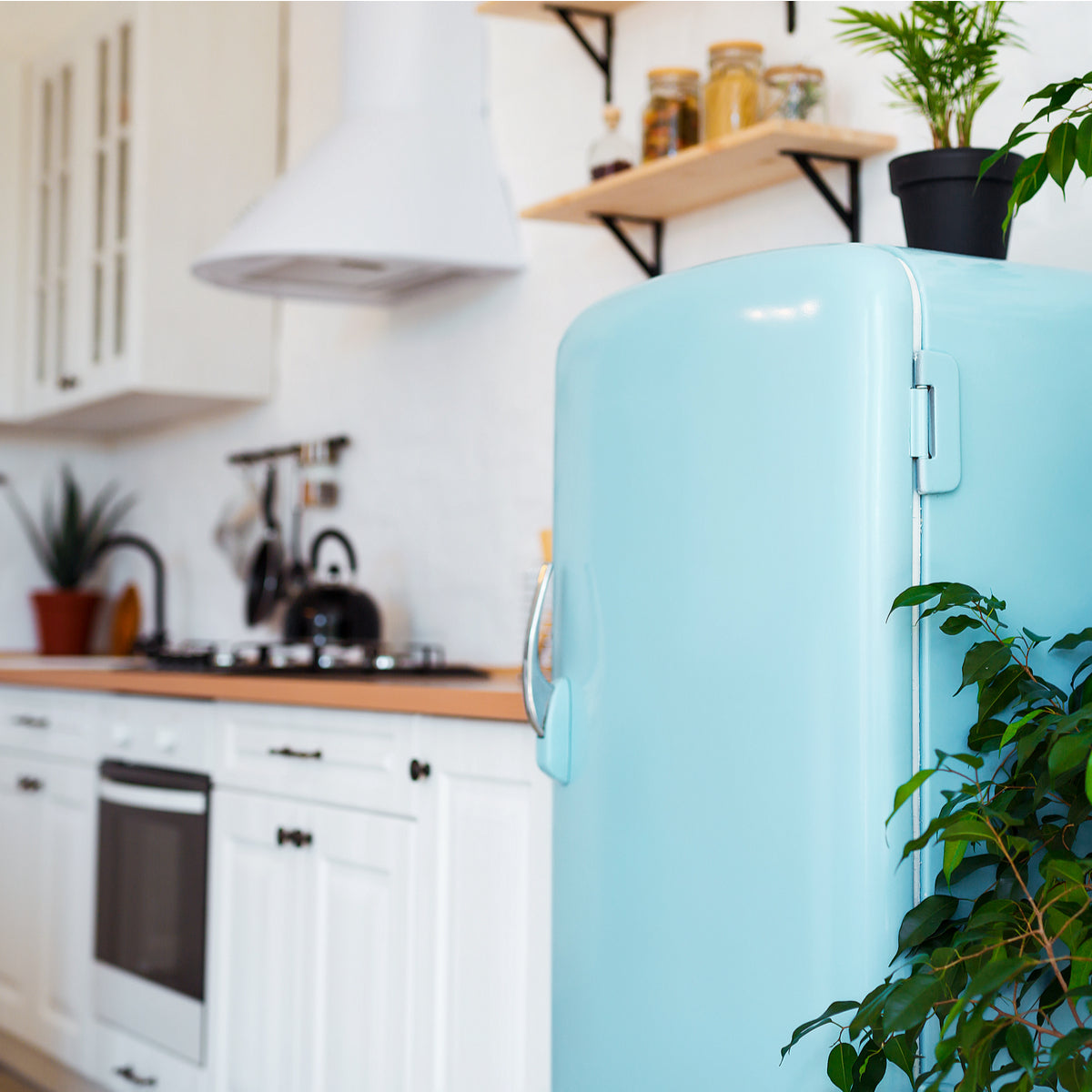 Colorful Appliances are the Hottest Trend in Kitchen Design